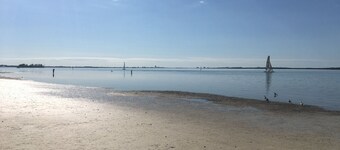 Ozona Guesthouse! 3 Blocks to Pinellas Trail, Brewery, Eats, & Dog Friendly!