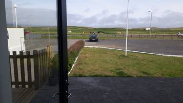 A view from inside a building looking out onto a road with horses grazing in the distance.