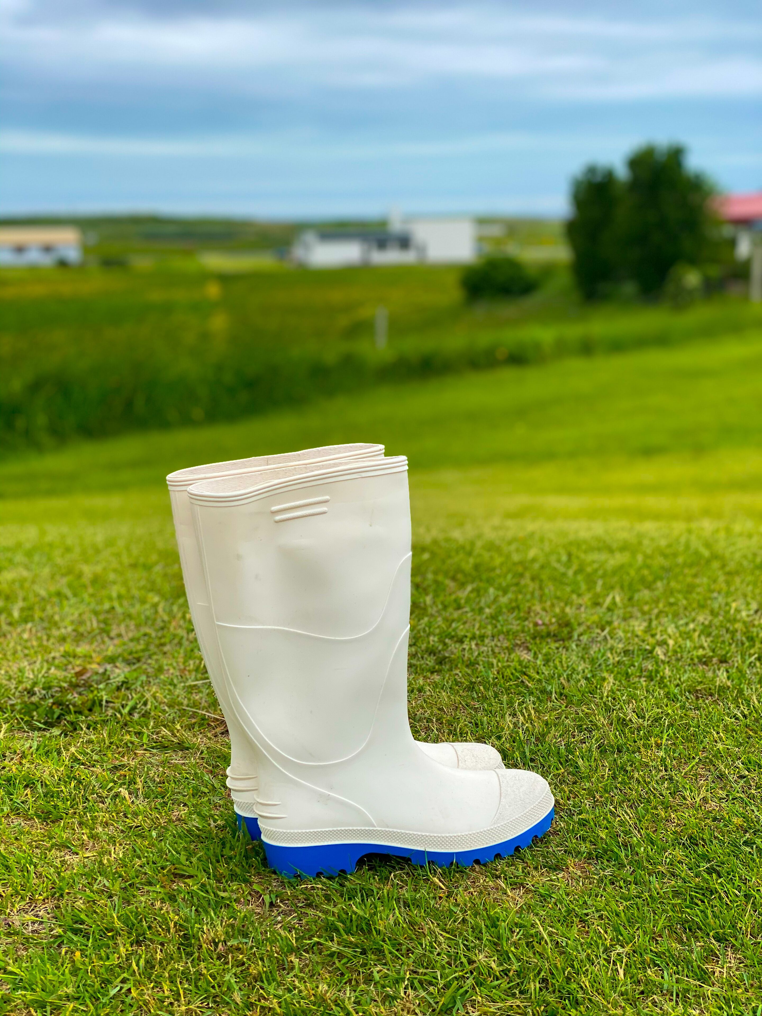 Una bota de goma blanca con suelas azules sobre un campo de hierba.