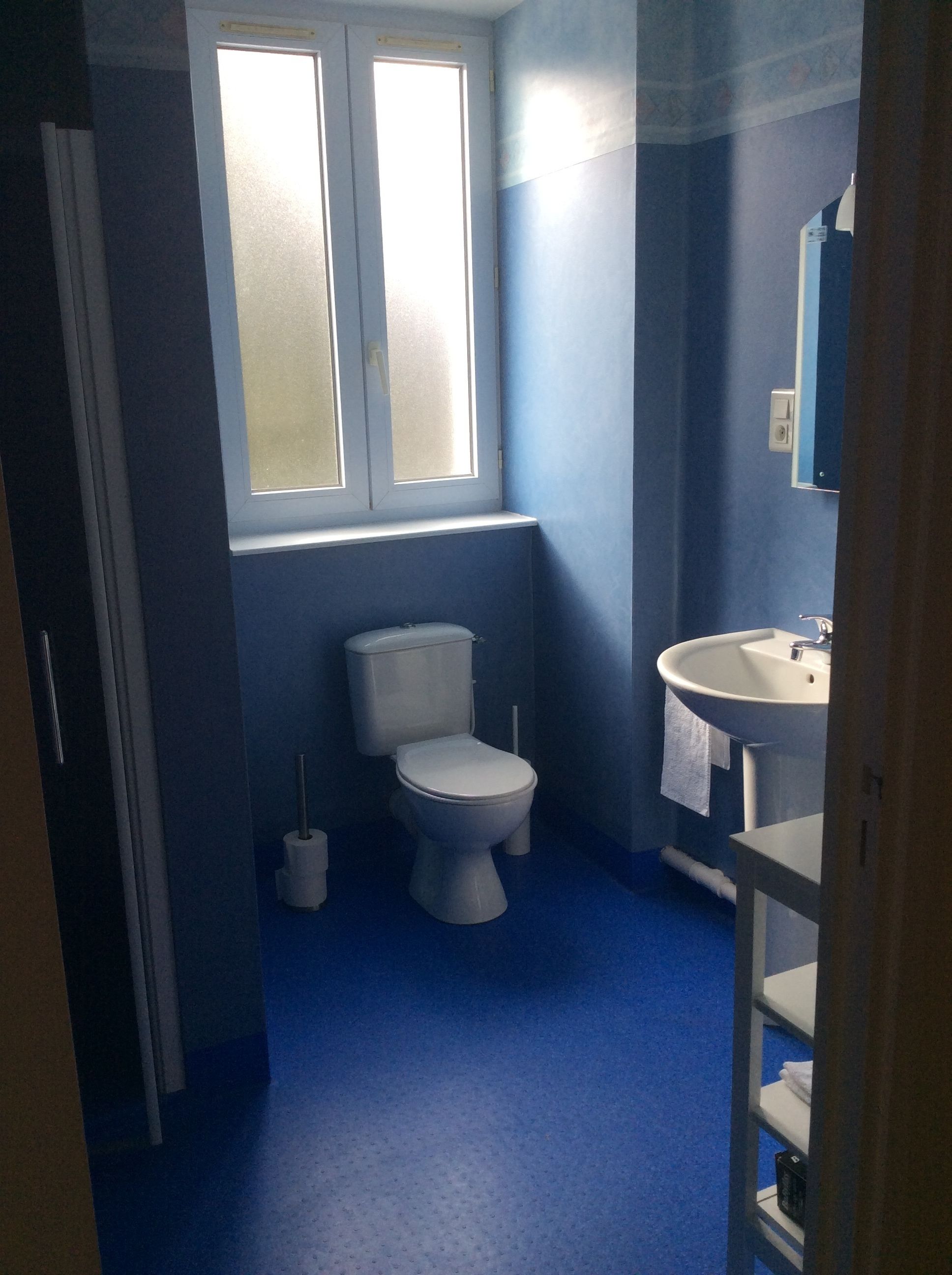 A bathroom with a toilet, sink, and window.