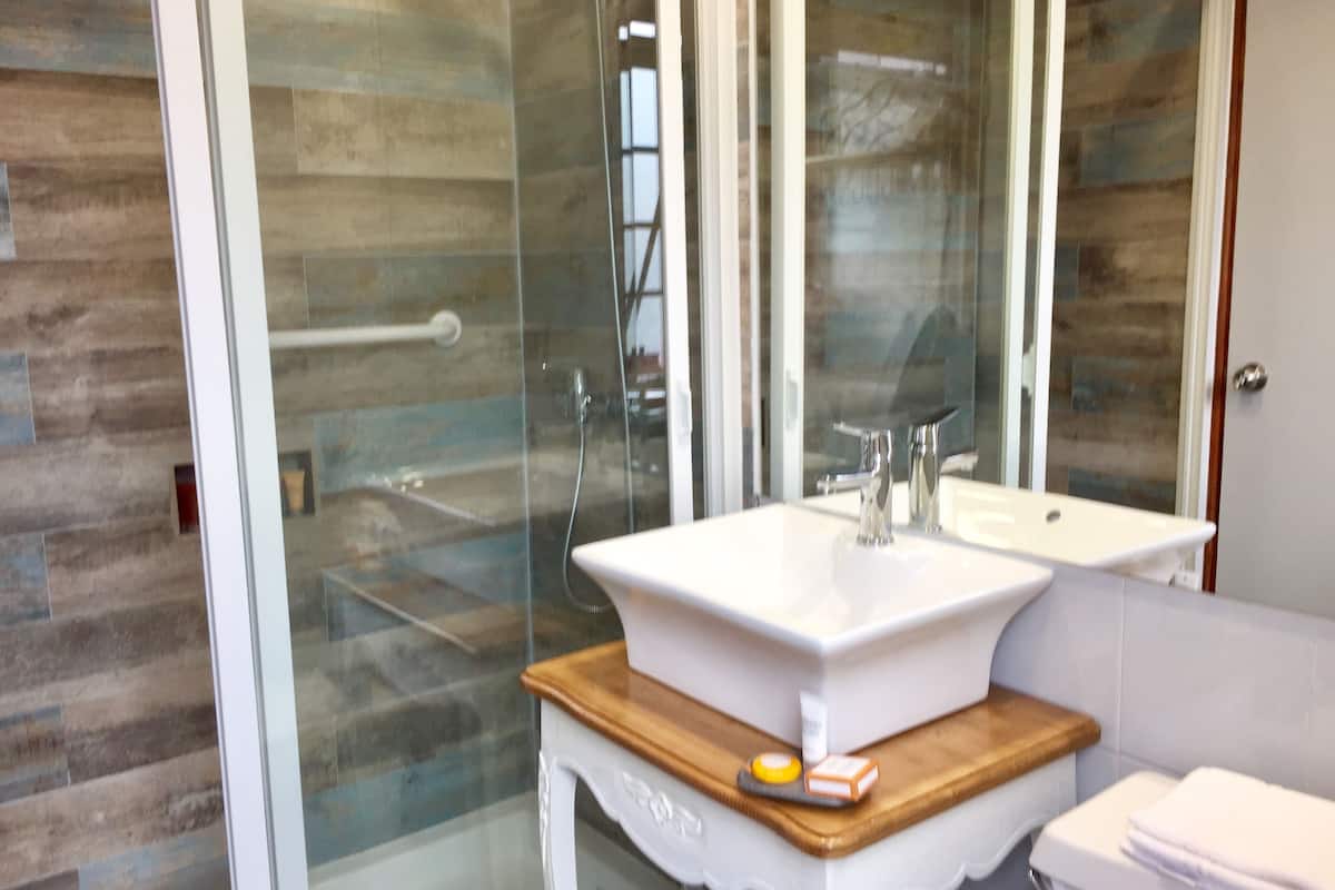 shower, free toiletries, hair dryer, towels