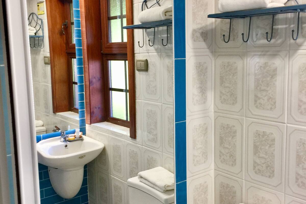 shower, free toiletries, hair dryer, towels