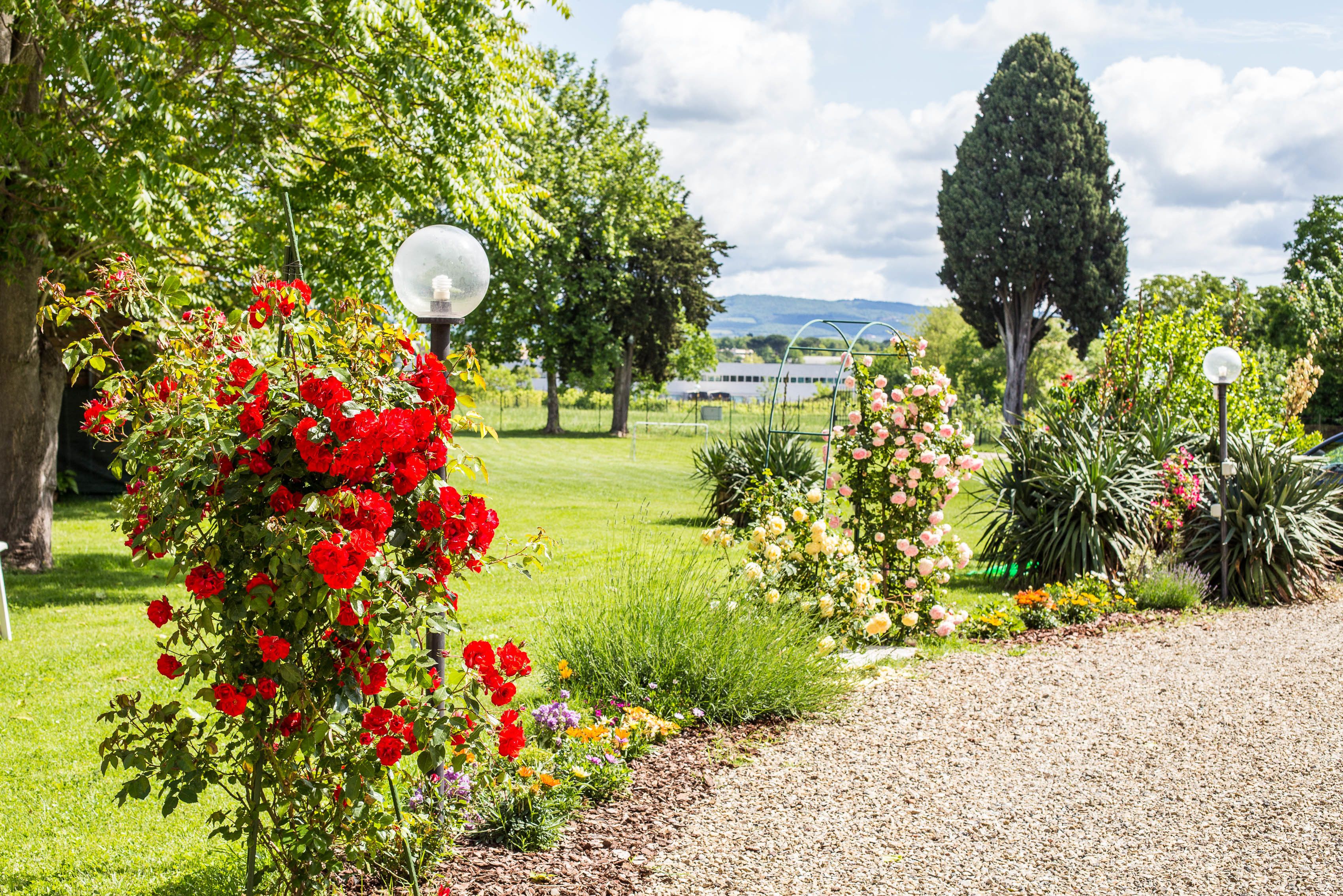 Photo - Fattoria il Casone