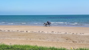 位於海灘上、海灘浴巾