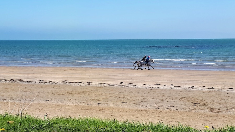 Seaside holiday Apartments