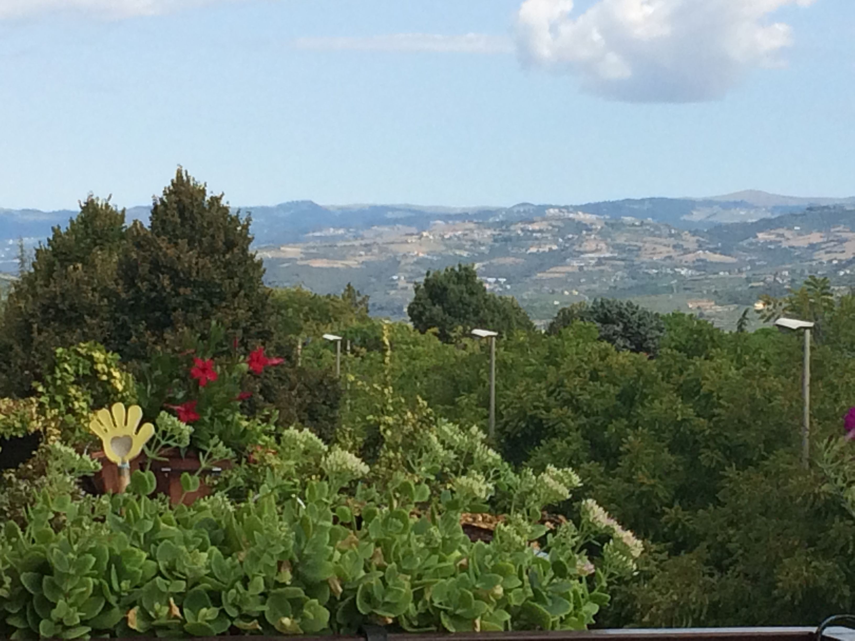 Vistas desde el alojamiento