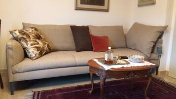 A living room with a sofa, a coffee table, and a rug.