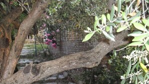 A stone staircase surrounded by greenery and a tree.