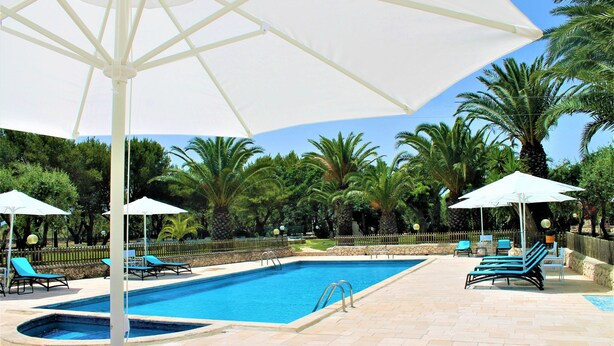 Ein Swimmingpool mit Liegestühlen und Sonnenschirmen, umgeben von Palmen.