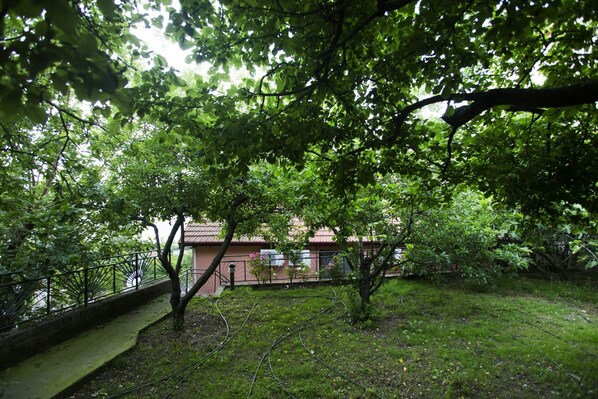 A garden with a paved path, a small tree, and a building in the background. - Yaprak Dag Evi (Sapanca)