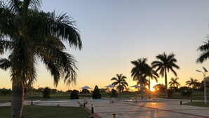 Amplo espaço ao ar livre com palmeiras, um caminho pavimentado e guarda-sóis.