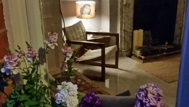 Una sala de estar con chimenea, un sofá y una mesa con lámpara. Hay plantas en macetas con flores en primer plano.