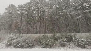 Property grounds - Blue Ridge Rustic Inn (Blue Ridge)