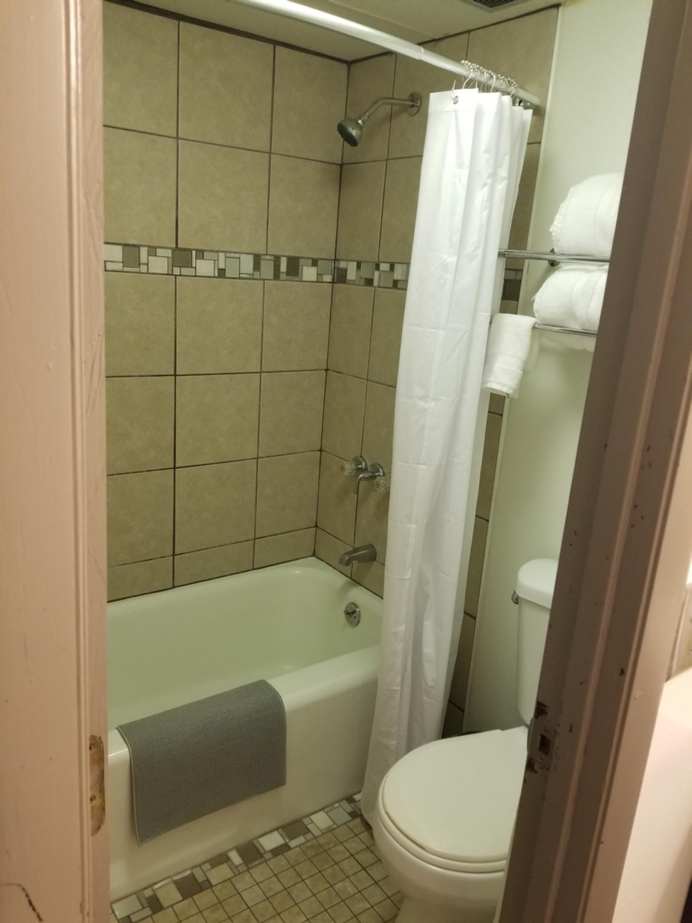 Combined shower/tub, free toiletries, towels