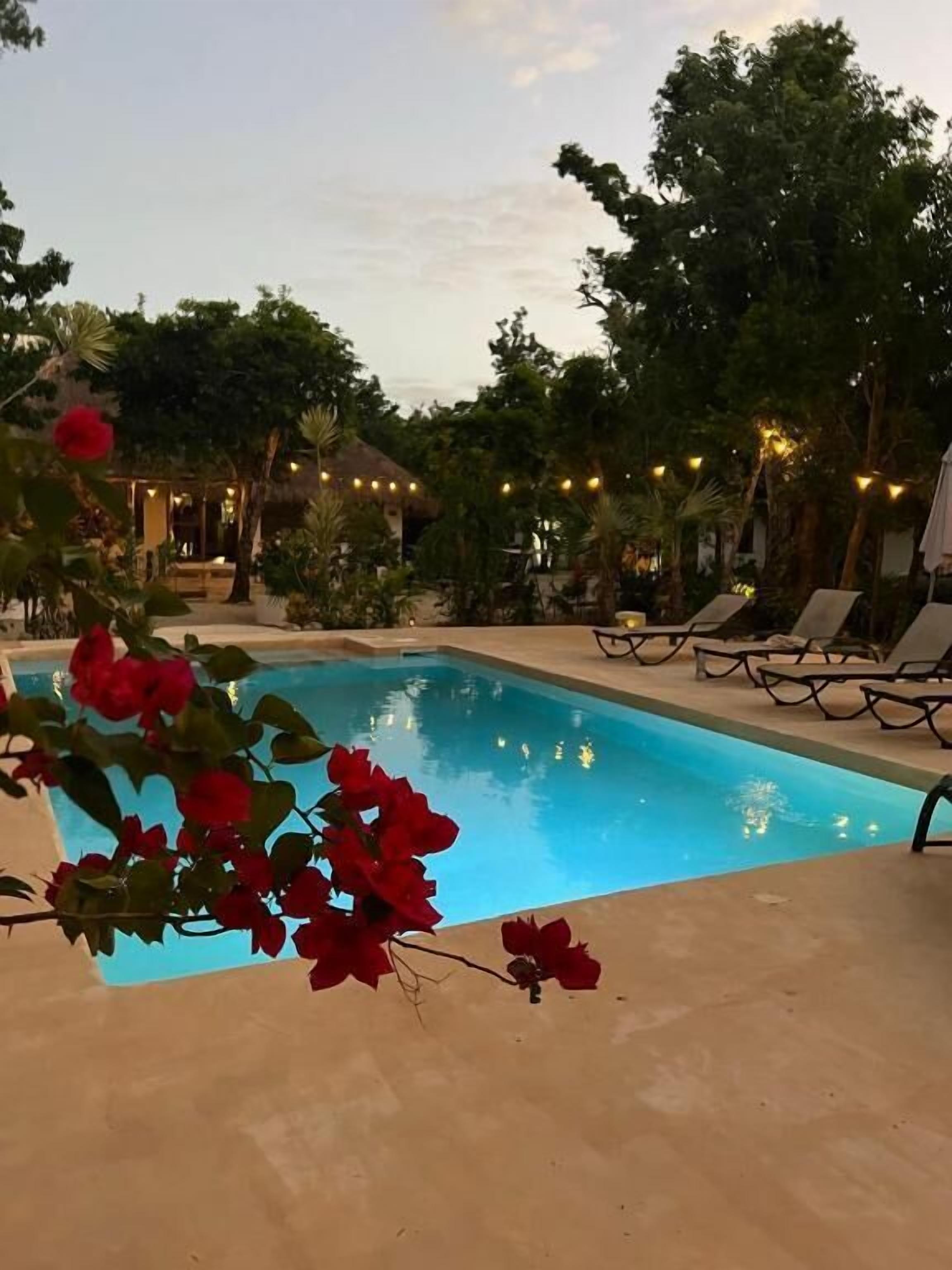 Una piscina con sillas de descanso e iluminación colgante, rodeada de árboles y un edificio con techo de paja.