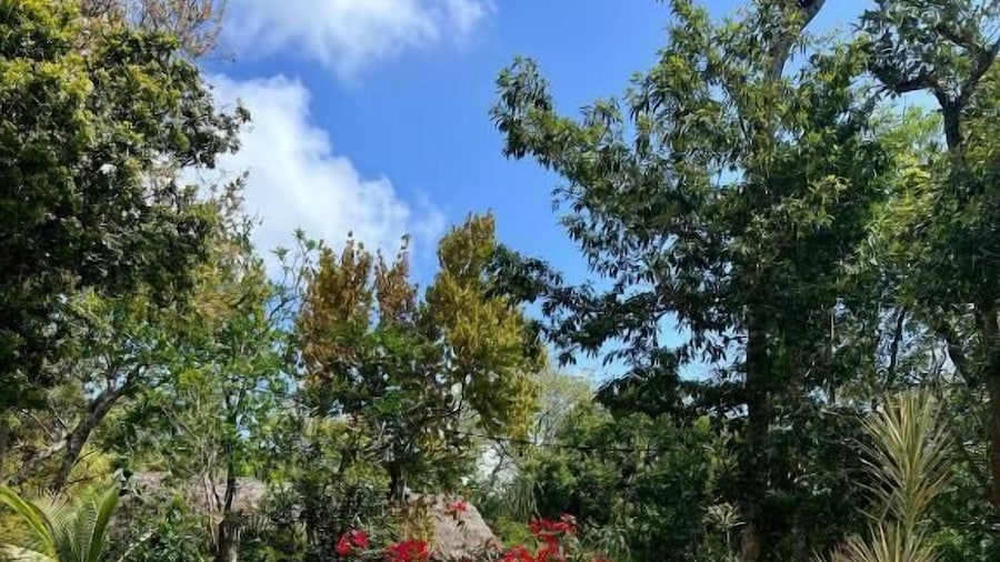 Maya Eco Village
