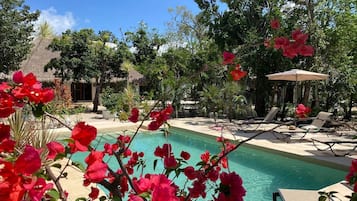 Bungalow Deluxe, vista a la alberca (Frida) | 1 habitación, minibar, escritorio y espacio para trabajar con laptop