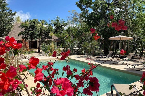 1 habitación, minibar, escritorio y espacio para trabajar con laptop