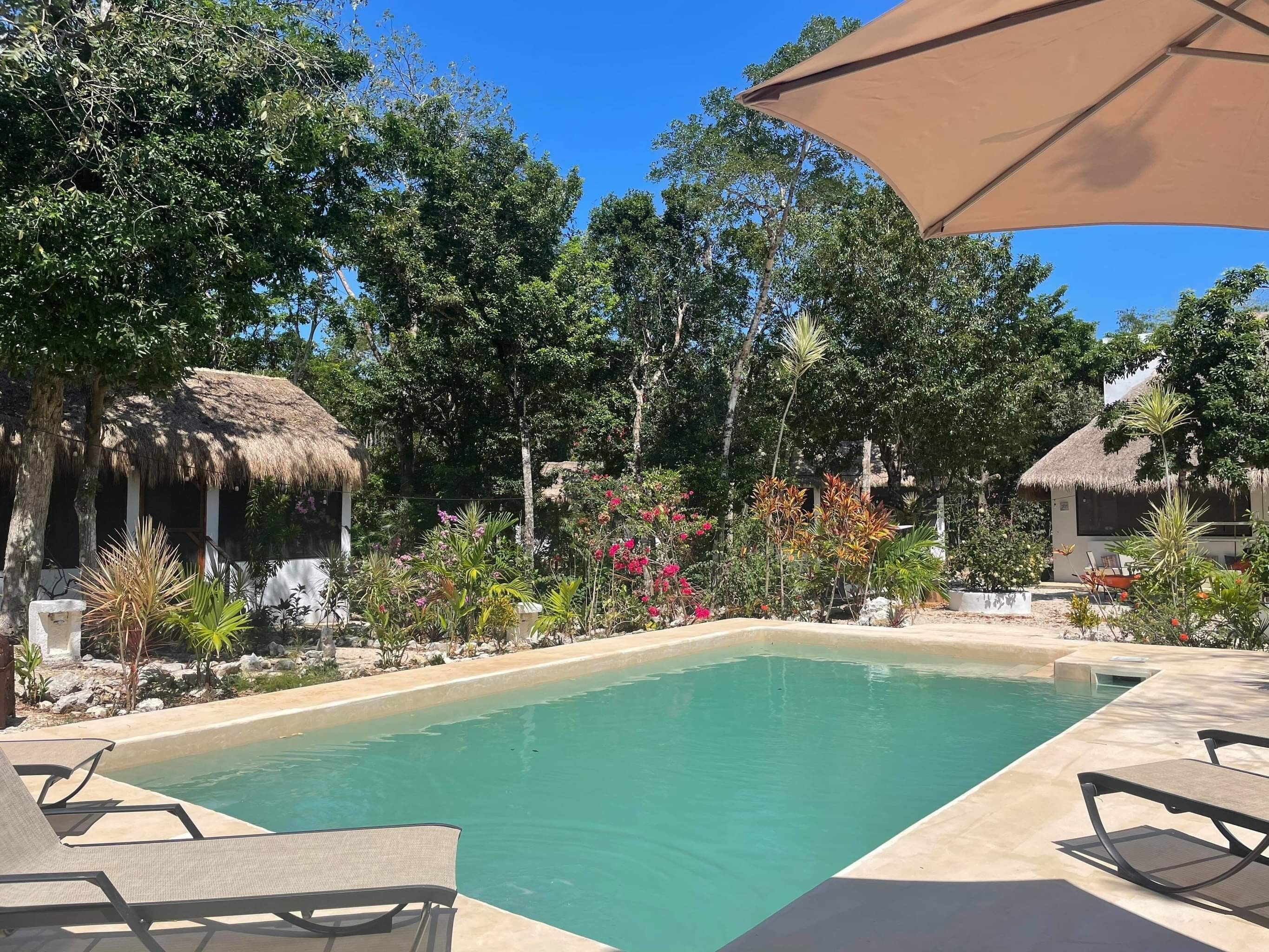 A pool area with lounge chairs, a thatched-roof structure, and lush greenery.