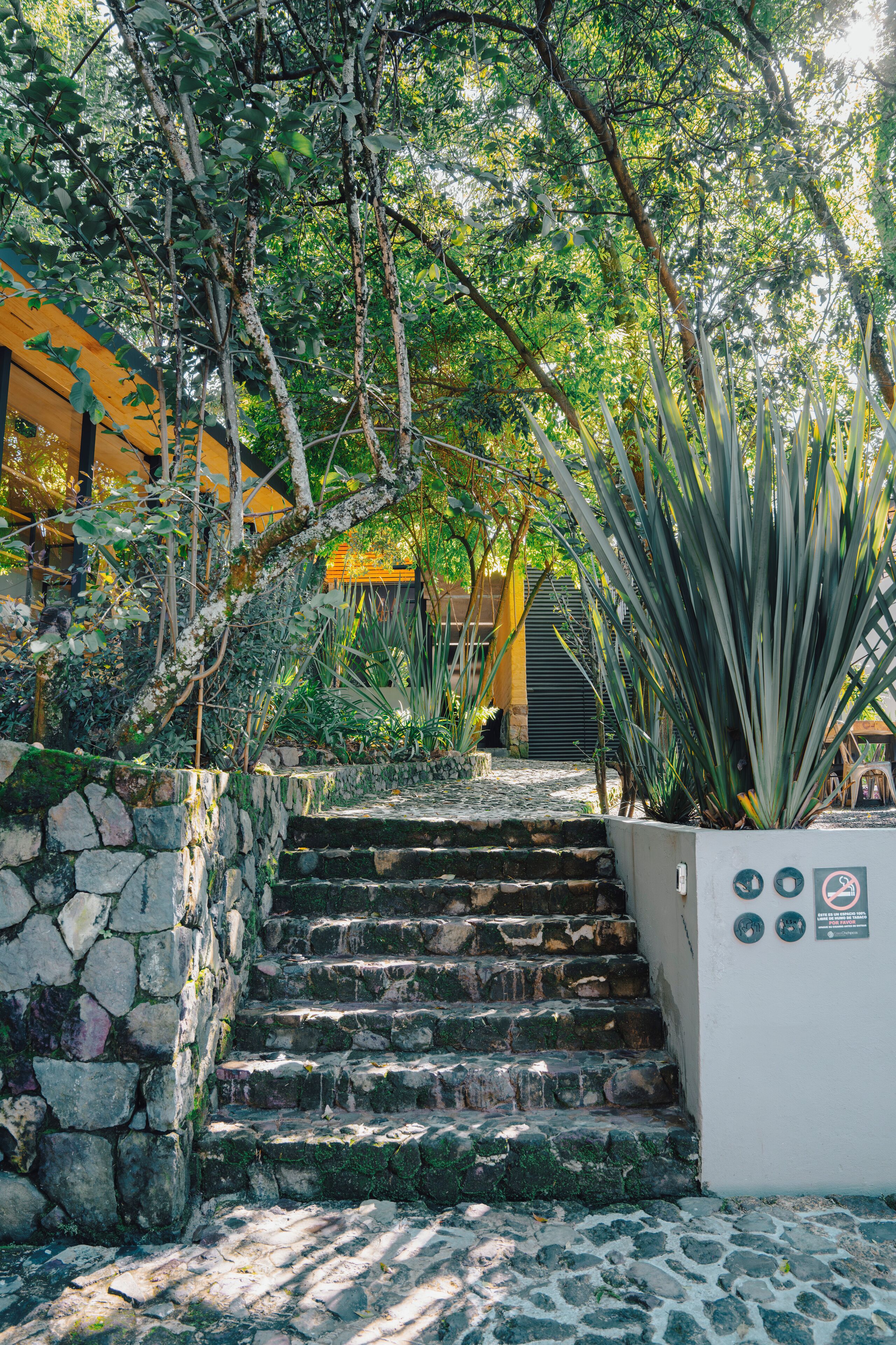 Foto - Casa Chichipicas Hotel Boutique