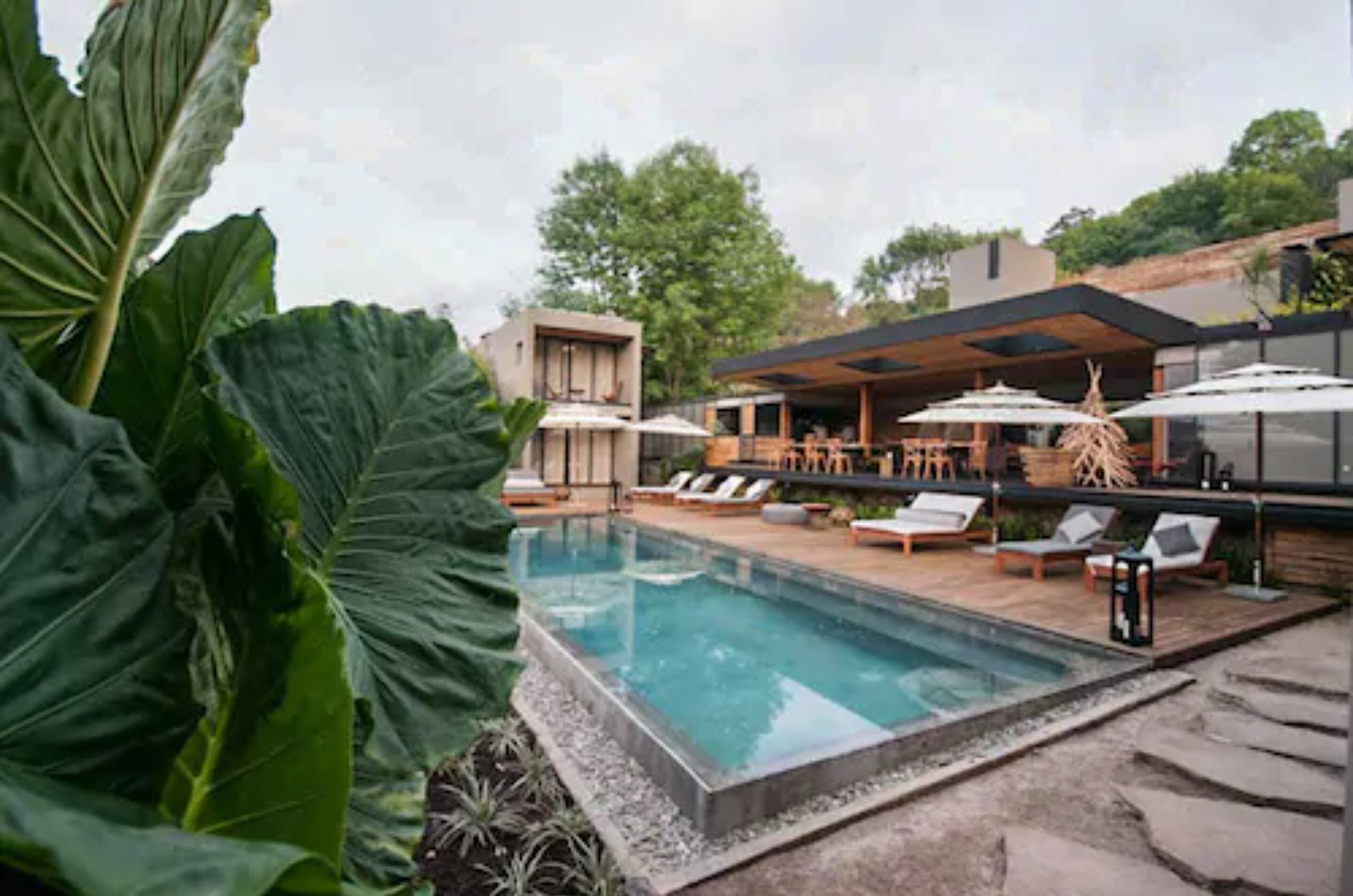 Foto - Casa Chichipicas Hotel Boutique