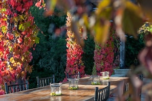 Outdoor dining - Gorgeous Views, Pool and Hot Tub, 12 mins to HB Plaza (Healdsburg)