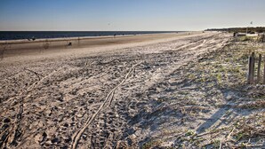 A beach with visible tire tracks and sparse vegetation. - Hilton Head Condo w/ Pool Bar: Walk to Beach! (Hilton Head Island)