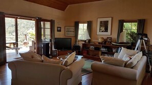 Televisor intel·ligent, llar de foc, llibres i estèreo
