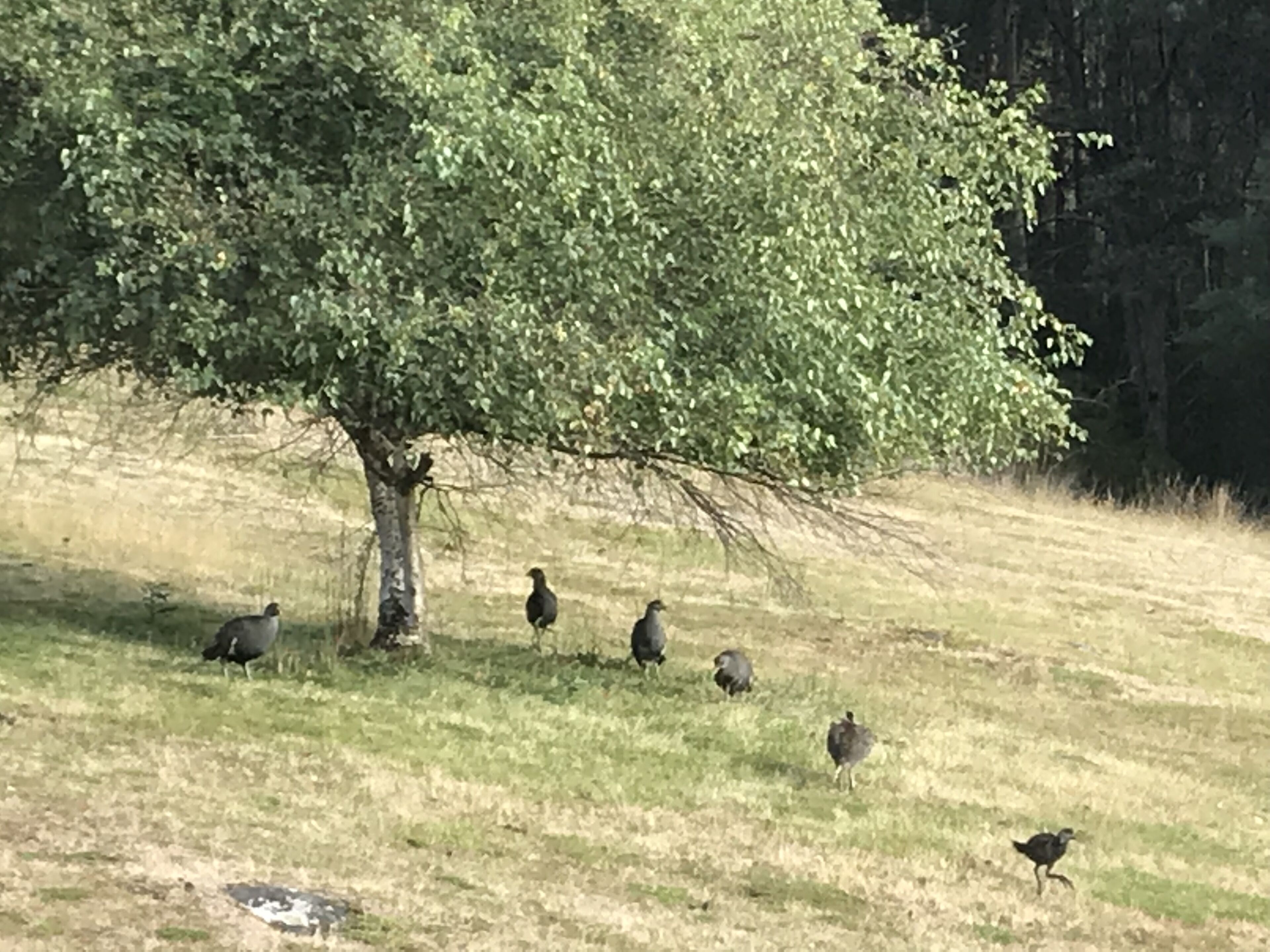 Fantastic getaway for family or friends with spectacular views. — image 26