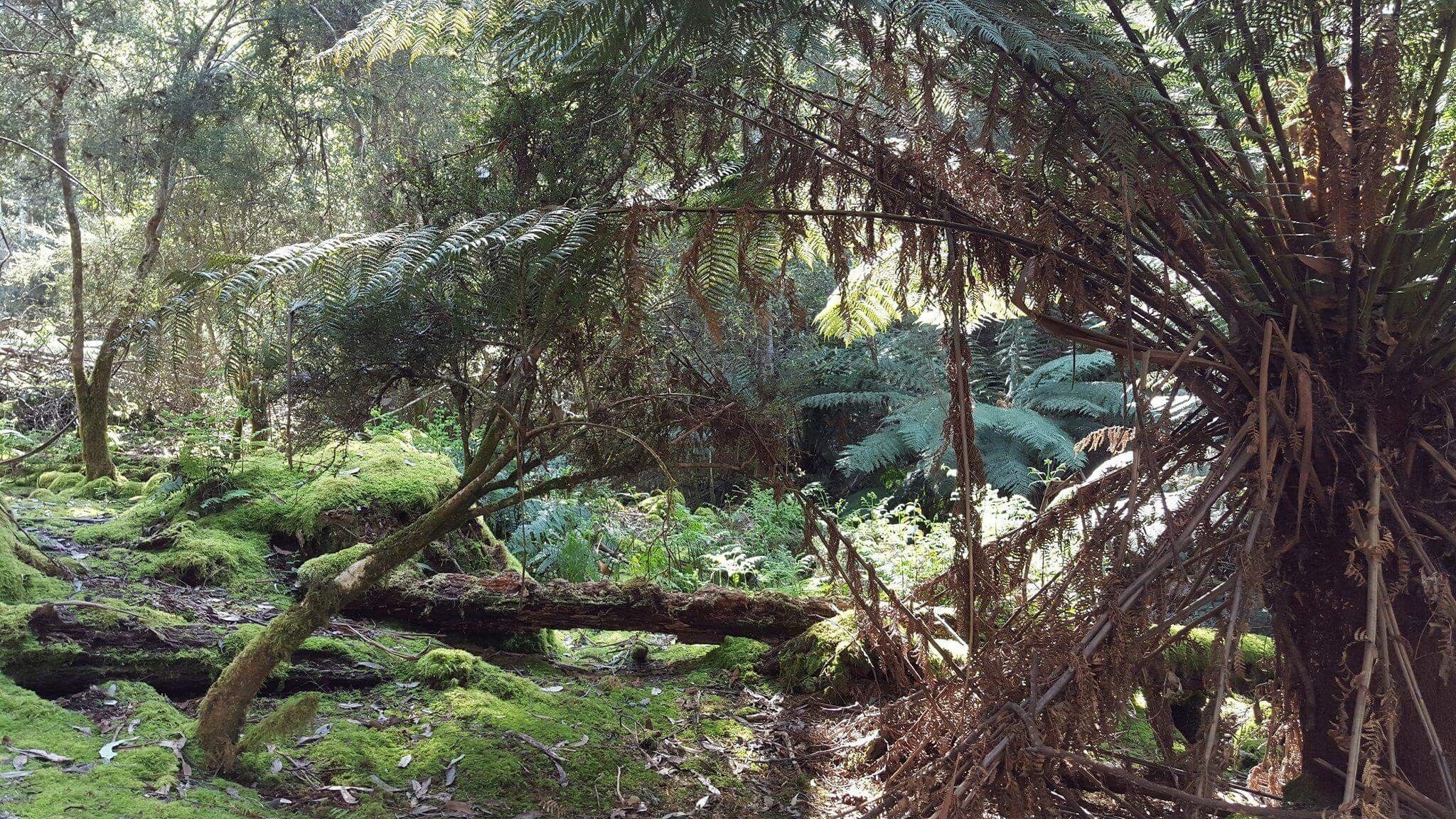 Fantastic getaway for family or friends with spectacular views. — image 17