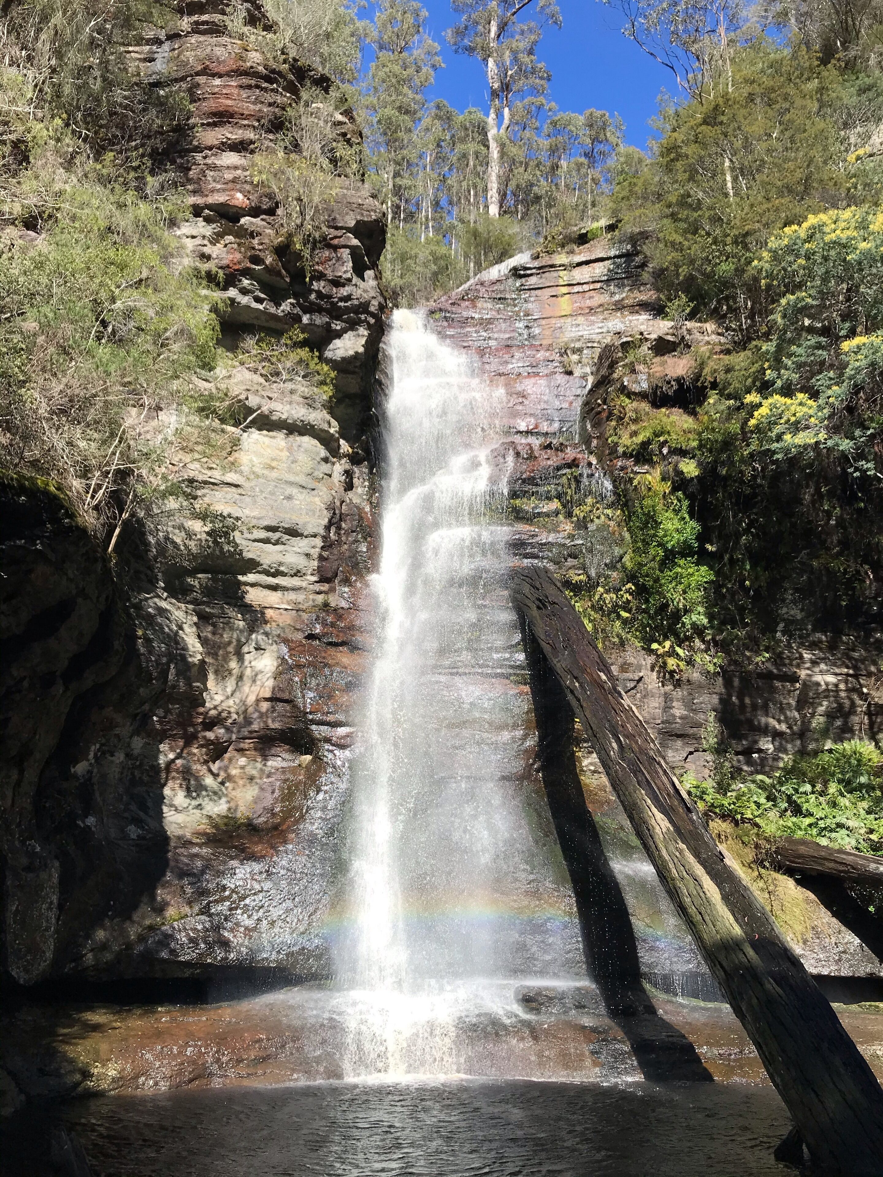 Fantastic getaway for family or friends with spectacular views. — image 25