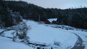 A rural landscape with a snow-covered field, a wooden house, and dense forest in the background.
