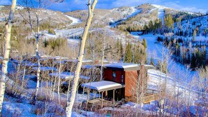 A cabin with a wooden deck and a covered outdoor area, surrounded by snow-covered trees and a mountainous landscape. - Hike In/Out w/Stunning Mountain Views + Heated Pool-Hot Tub-Gym-Wood Fireplace-W/D in Unit (Steamboat Springs)