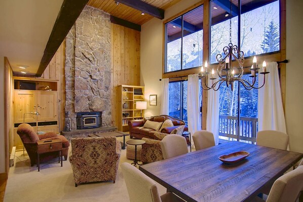 Smart TV, fireplace, books