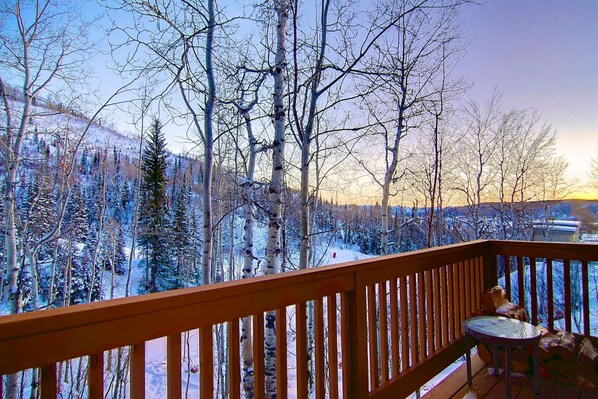 Property grounds - Hike In/Out w/Stunning Mountain Views + Heated Pool-Hot Tub-Gym-Wood Fireplace-W/D in Unit (Steamboat Springs)