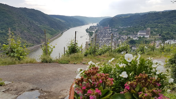 Eine malerische Flusslandschaft mit einer Stadt im Hintergrund, umgeben von Hügeln.