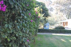 Garden - BIG4 Seymour Holiday Park (Seymour)