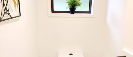 Un baño pequeño y blanco con inodoro, una ventana con planta y un dispensador de papel higiénico en la pared.