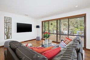 Smart TV, fireplace, DVD player, toys