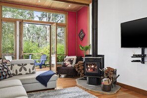 TV connectée, cheminée, lecteur de DVD, jouets