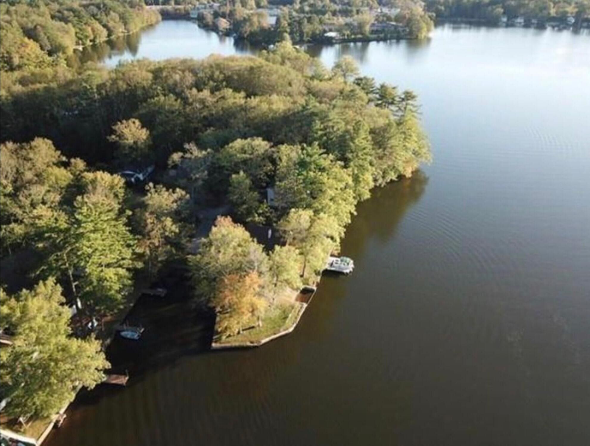 An aerial view of a lake surrounded by dense trees.