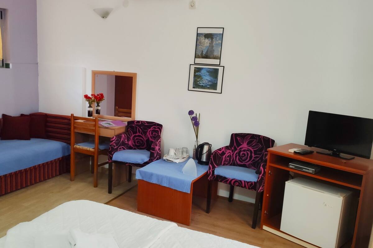 Double or Twin Room, 1 Bedroom, Terrace | Living area | TV