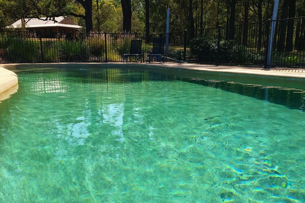 Peaceful surroundings of the shared swimming pool