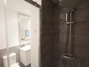 Shower, hair dryer, towels