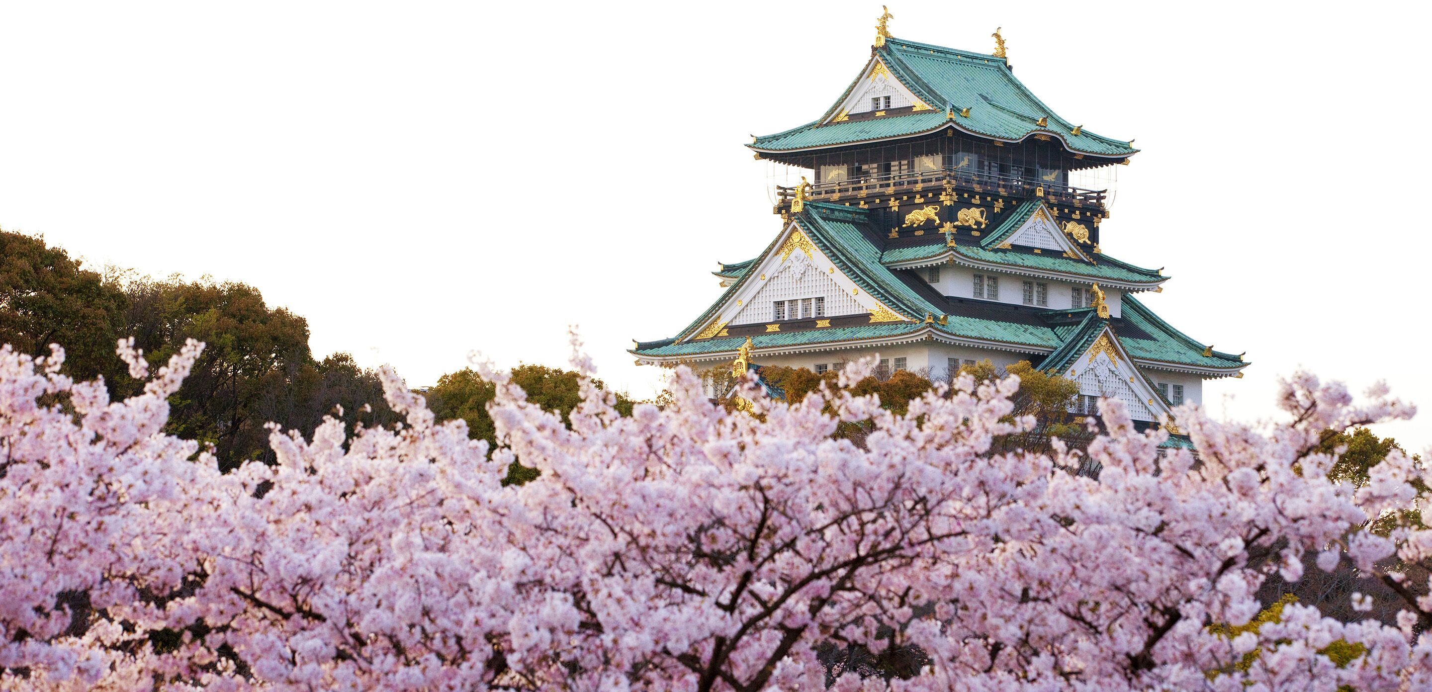 city view from property