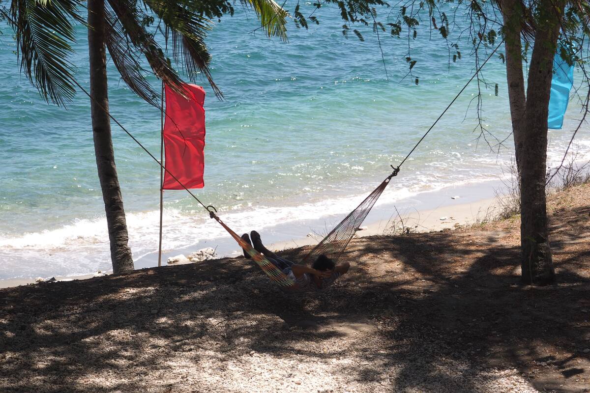 Una hamaca atada entre dos árboles en una playa, con agua azul cristalina al fondo.
