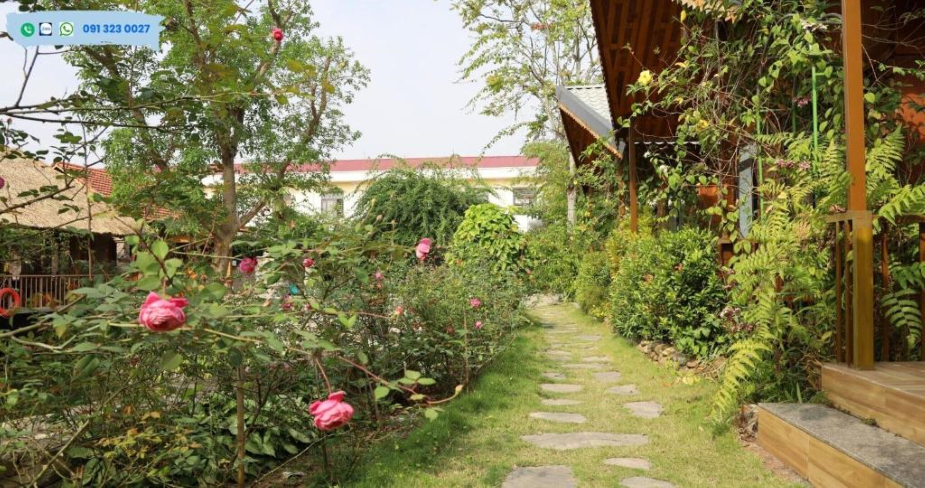 A garden pathway with stepping stones, surrounded by lush greenery and flowering plants.
