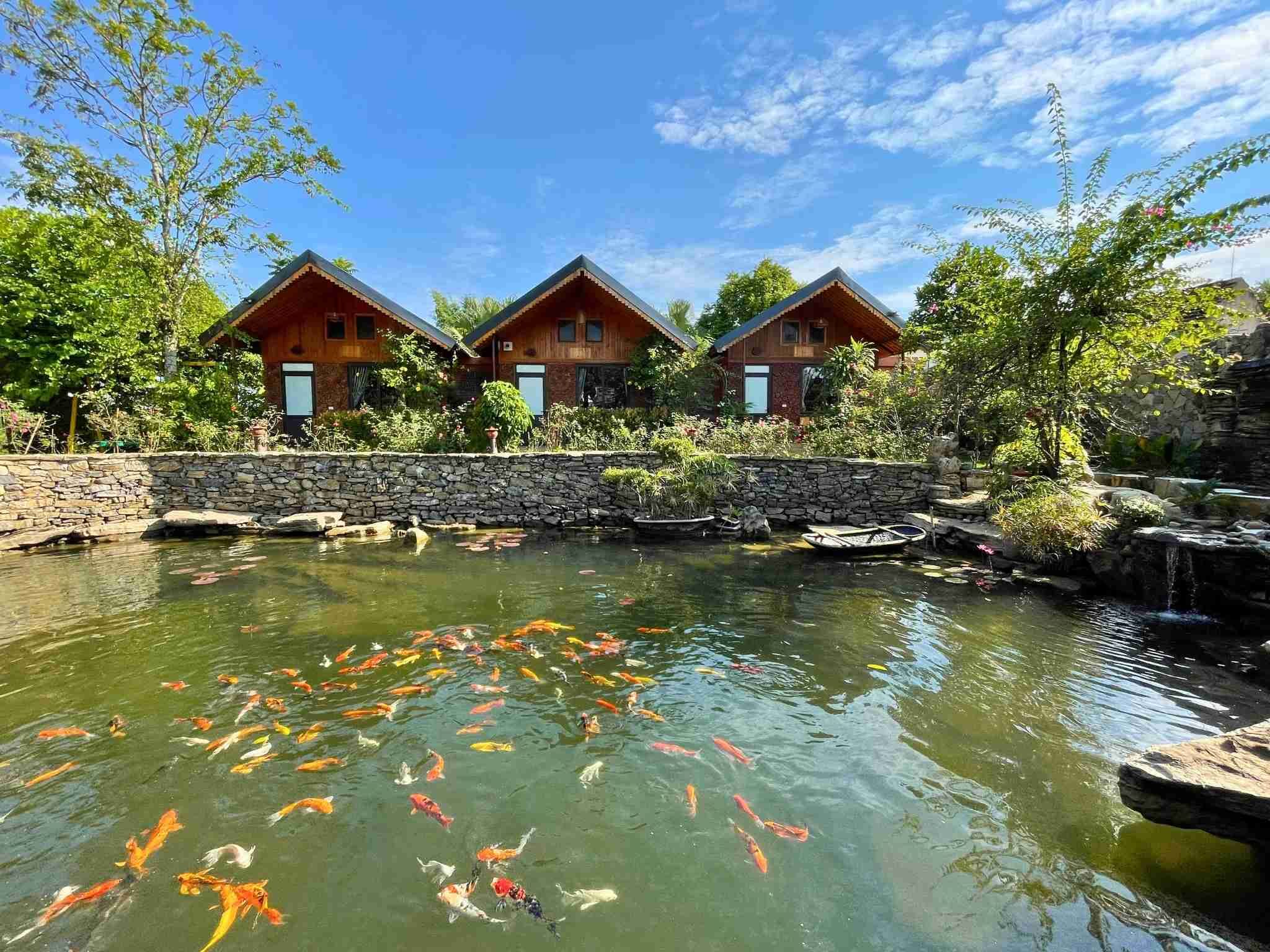 Vista desde la propiedad