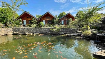 Vista desde la propiedad