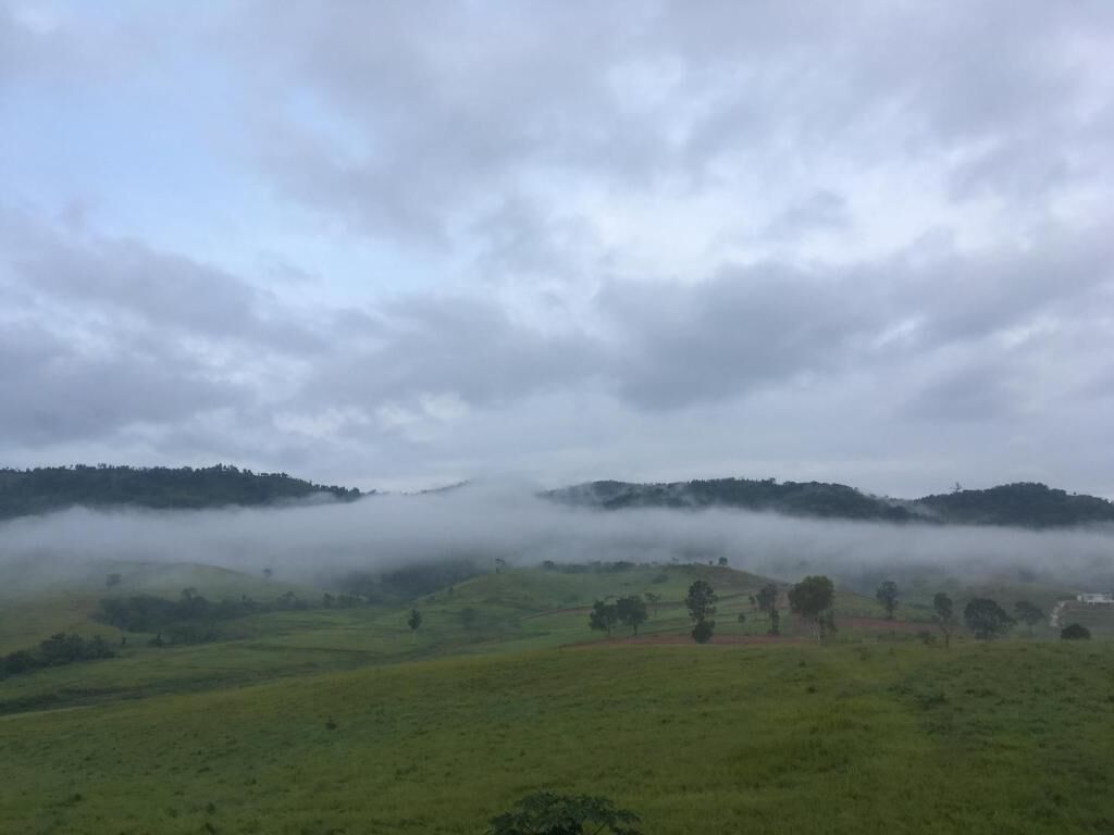 A foggy landscape with rolling hills and scattered trees.
